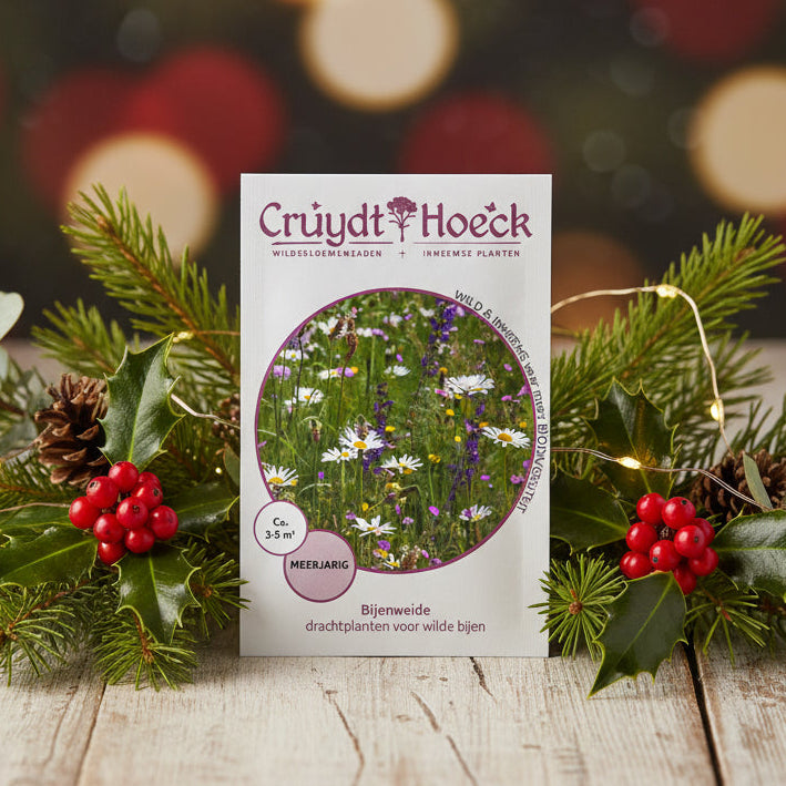 Bloemzaden Bijenmengsel [Kerstpakket]