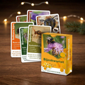 Bijenkwartet [Kerstpakket]
